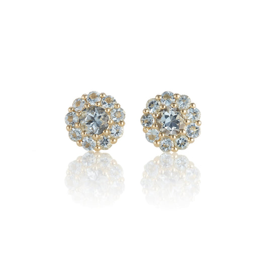 Gump's Signature Floret Earrings in Aquamarine