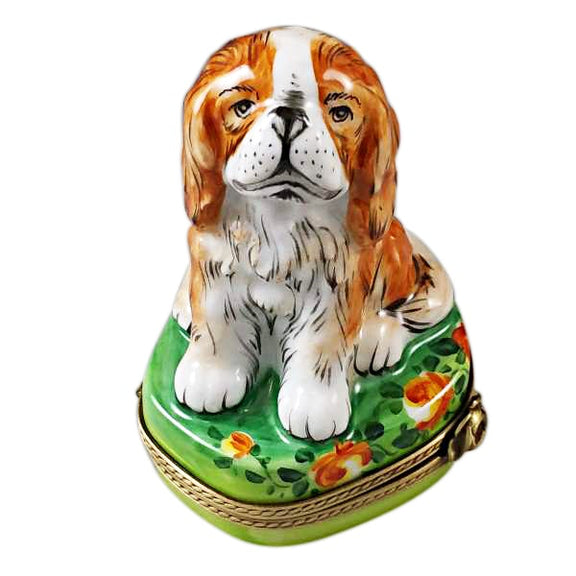 King Charles Spaniel Limoges