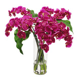 Phalaenopsis in Slim Glass Vase