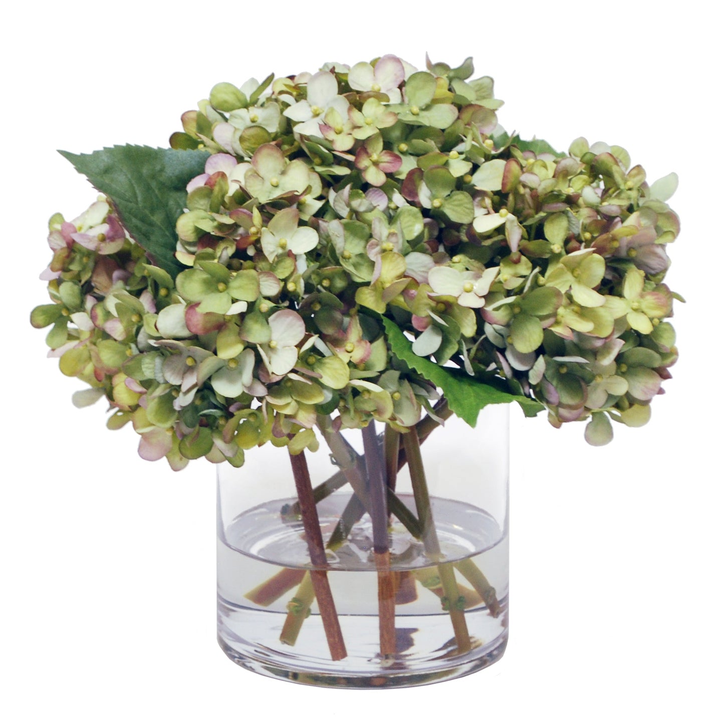 Hydrangeas In Glass Vase