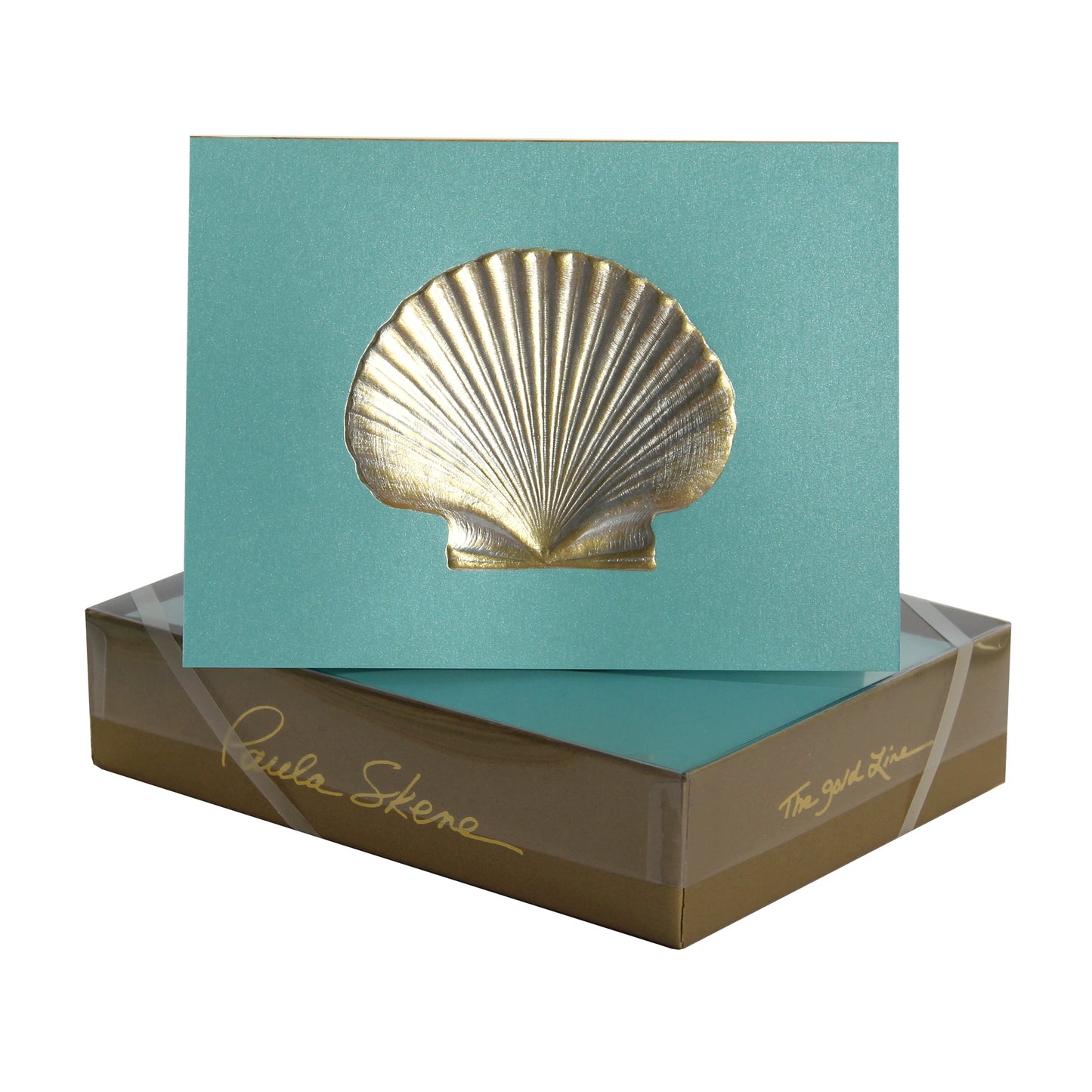 Scallop Shell Note Cards, Set of 8
