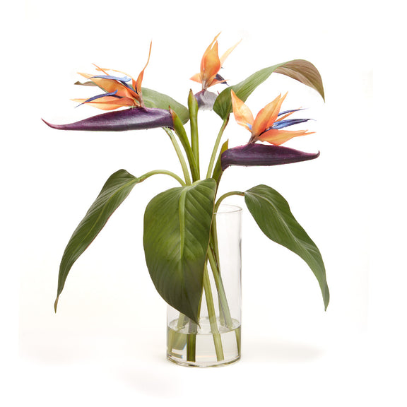 Birds-of-Paradise in Vase, Medium