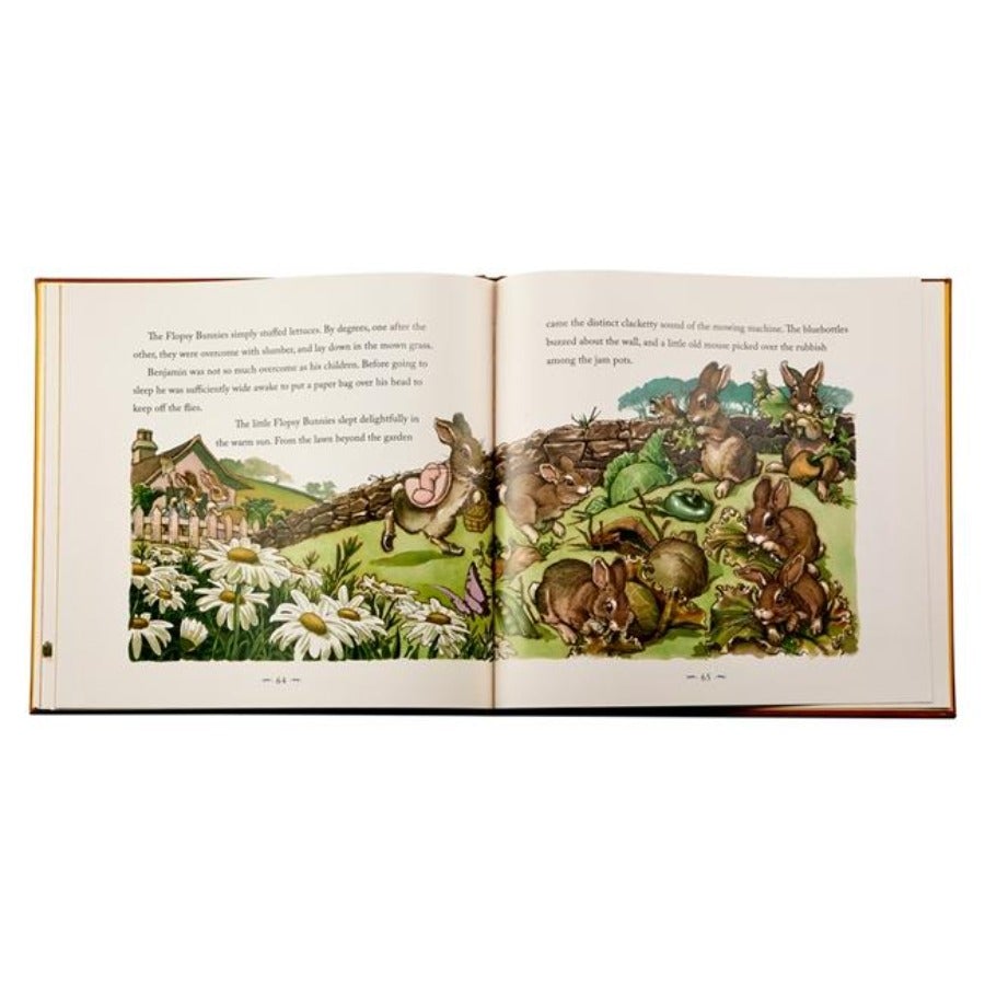 Peter Rabbit Leather-Bound Book