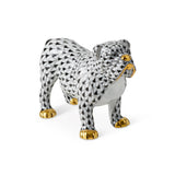 Bulldog, Black