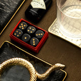 Snake Magnifying Glass