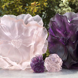 Camellia Flower, Violet