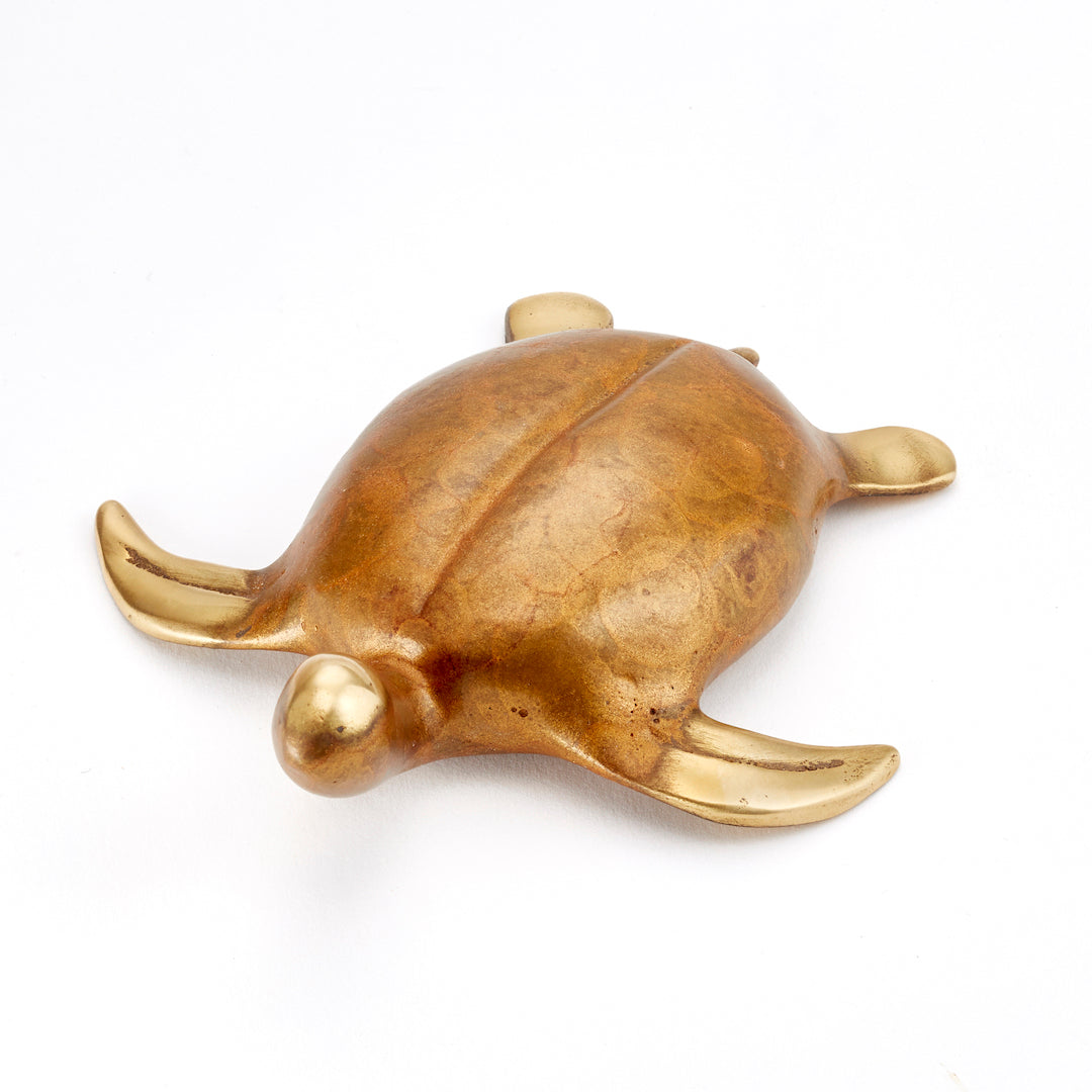 Sea Turtle