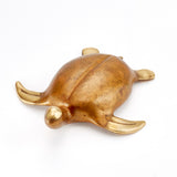 Sea Turtle