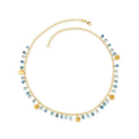 Barbara Heinrich Aquamarine Briolette & Petal Necklace