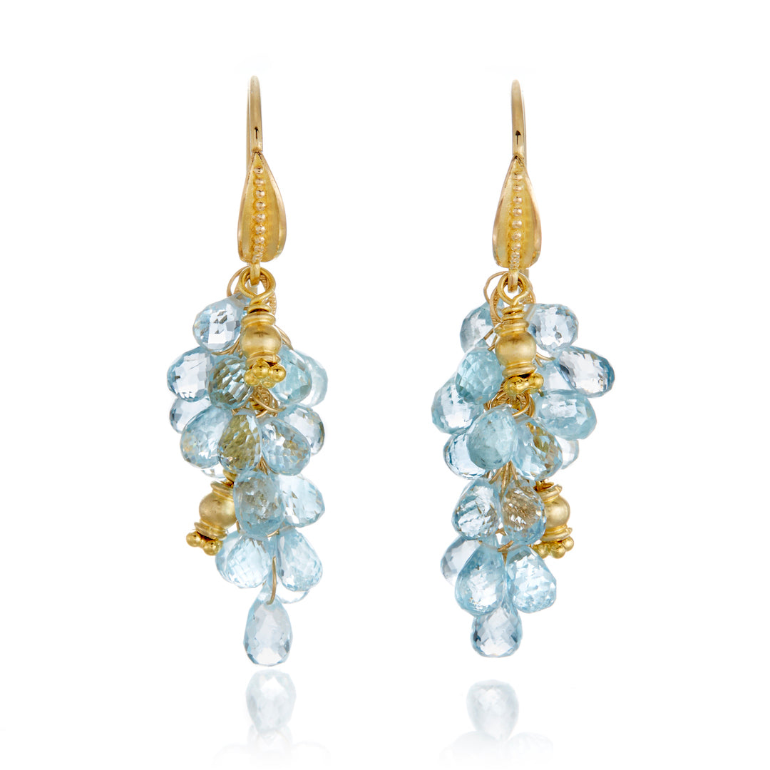 Barbara Heinrich Aquamarine Briolette Cluster Earrings