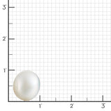 13mm White South Sea Pearl Earrings