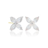 Stella Earrings in Rose Quartz