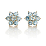 Aurora Earrings in Aquamarines