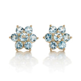 Aurora Earrings in Aquamarines