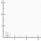 14mm White South Sea Pearl Earrings