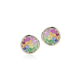 Rainbow Gemstone Round Earrings