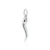 Italian Horn Charm