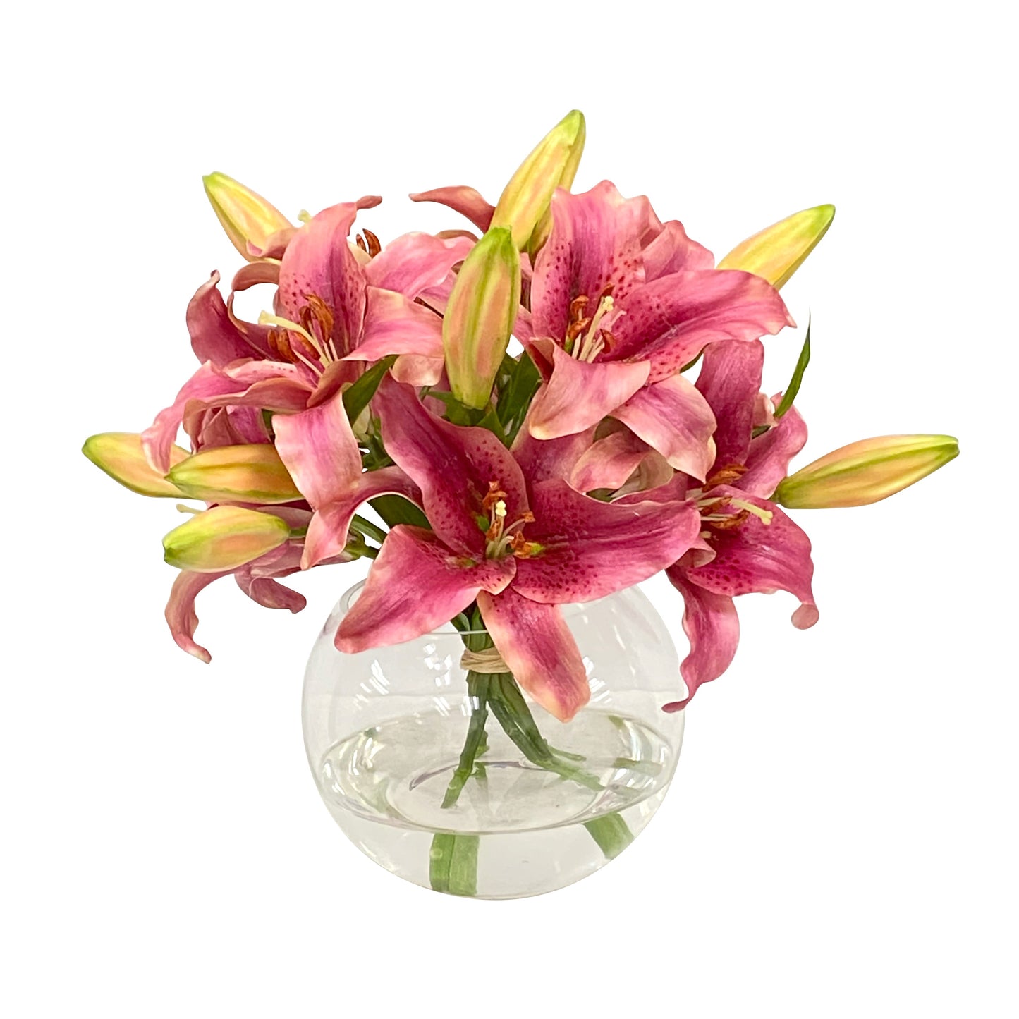 Casablanca Lilies in Bowl