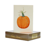 Paula Skene Elegant Pumpkin Note Cards, Set of 8