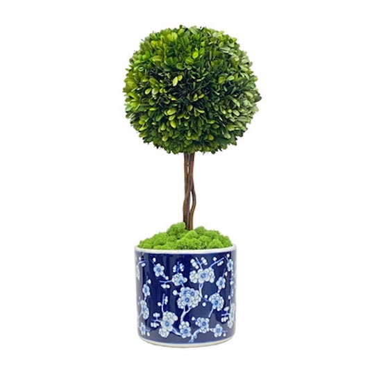 Portola Boxwood Ball Topiary