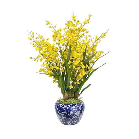 Sunrise Yellow Oncidium