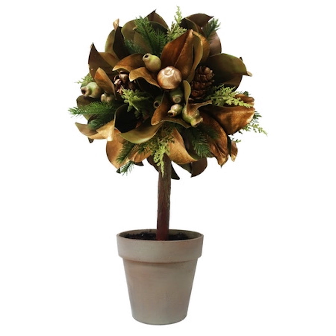 Farmington Golden Magnolia & Pine Topiary