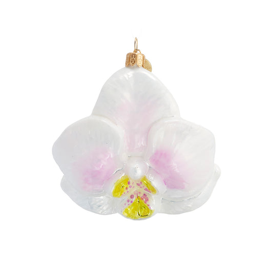 Phalaenopsis Orchid Ornament