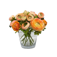 Westwood Ranunculus