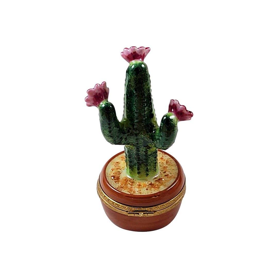 Flowering Cactus Limoges