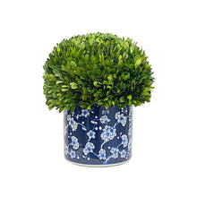 Skyline Boxwood Ball