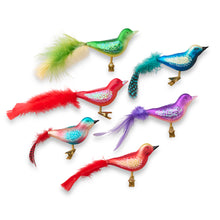 Colorful Birds Ornaments, Set of 6