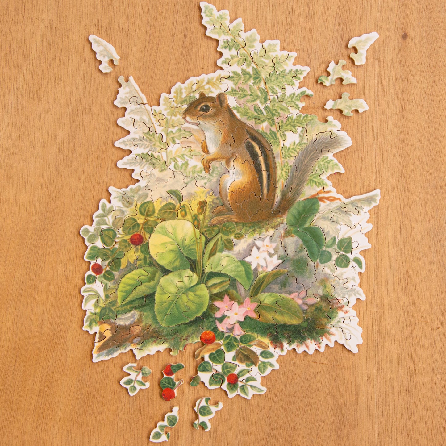 Chipmunk & Flora Jigsaw Puzzle