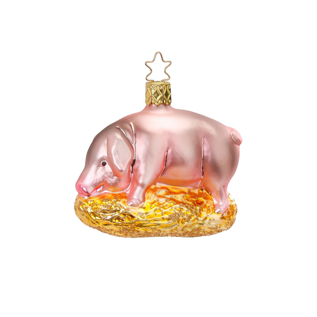 Pig Ornament
