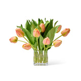 Creamsicle Tulips