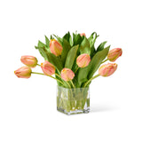 Creamsicle Tulips