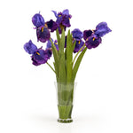 Bearded Iris Bouquet, Blue & Purple