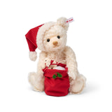 Santa Teddy Bear with Light-Up Toy Sack