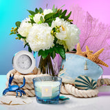 Blue Crab