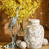 Plaza Yellow Oncidium Orchids