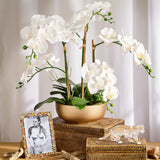 Caravelle Multicolor Crystal Frame, 5x7